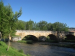Río Pisuerga -Puente Mayor